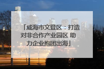威海市文登区：打造对非合作产业园区 助力企业抱团出海