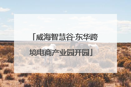 威海智慧谷·东华跨境电商产业园开园