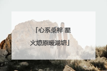 心系桑梓 星火燎原暖湖塘