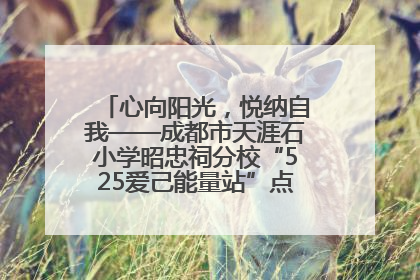 心向阳光，悦纳自我——成都市天涯石小学昭忠祠分校“525爱己能量站”点亮孩子心灵之旅