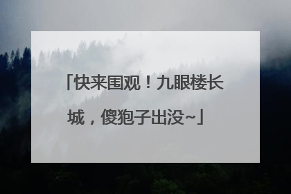 快来围观！九眼楼长城，傻狍子出没~