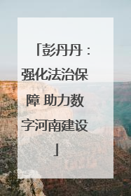 彭丹丹：强化法治保障 助力数字河南建设