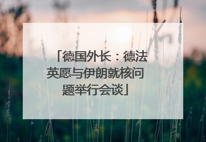 德国外长：德法英愿与伊朗就核问题举行会谈