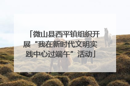 微山县西平镇组织开展“我在新时代文明实践中心过端午”活动