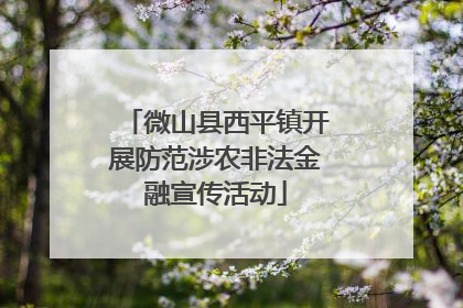 微山县西平镇开展防范涉农非法金融宣传活动