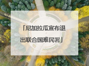 尼加拉瓜宣布退出联合国难民署