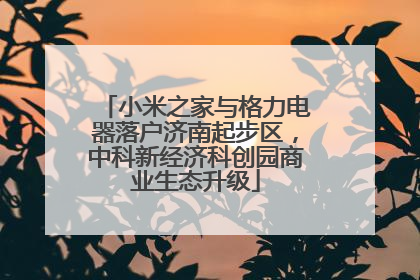 小米之家与格力电器落户济南起步区，中科新经济科创园商业生态升级