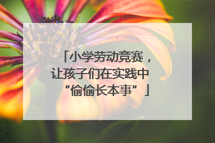 小学劳动竞赛，让孩子们在实践中“偷偷长本事”