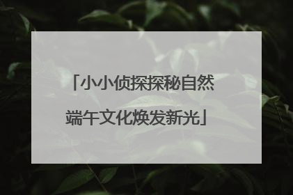 小小侦探探秘自然 端午文化焕发新光