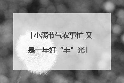 小满节气农事忙 又是一年好“丰”光