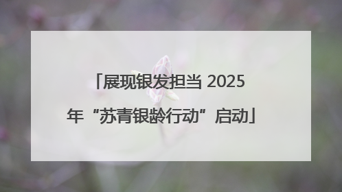 展现银发担当 2025年“苏青银龄行动”启动