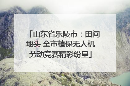 山东省乐陵市：田间地头 全市植保无人机劳动竞赛精彩纷呈