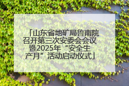 山东省地矿局鲁南院召开第三次安委会会议暨2025年“安全生产月”活动启动仪式