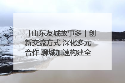 山东友城故事多｜创新交流方式 深化多元合作 聊城加速构建全球友城新格局