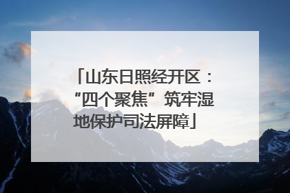 山东日照经开区：“四个聚焦”筑牢湿地保护司法屏障