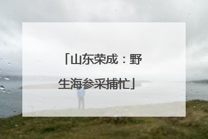 山东荣成：野生海参采捕忙