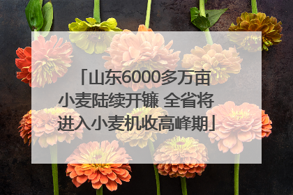 山东6000多万亩小麦陆续开镰 全省将进入小麦机收高峰期