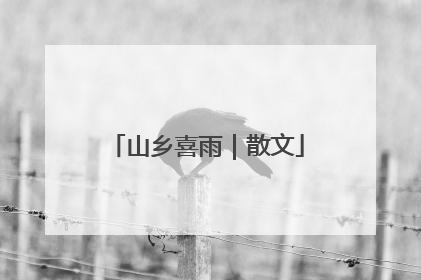 山乡喜雨｜散文