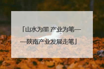 山水为墨 产业为笔——陕南产业发展走笔