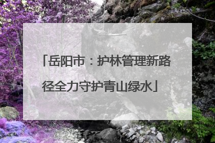 岳阳市：护林管理新路径全力守护青山绿水