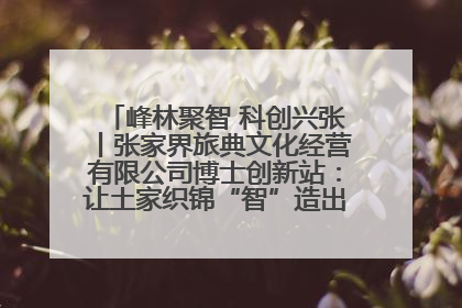 峰林聚智 科创兴张丨张家界旅典文化经营有限公司博士创新站：让土家织锦“智”造出非遗新传奇