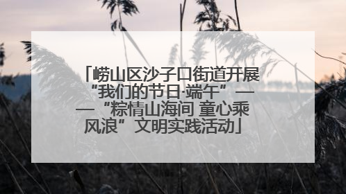 崂山区沙子口街道开展“我们的节日·端午”——“粽情山海间 童心乘风浪”文明实践活动