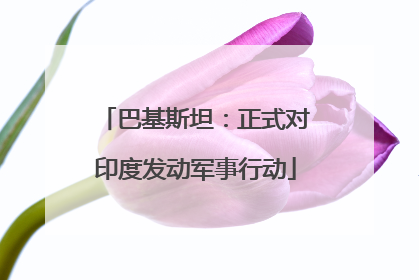 巴基斯坦：正式对印度发动军事行动