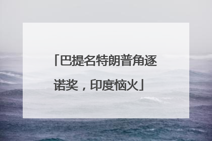 巴提名特朗普角逐诺奖，印度恼火
