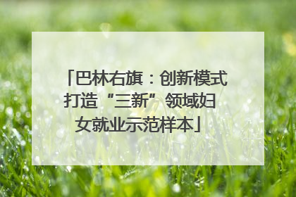 巴林右旗：创新模式 打造“三新”领域妇女就业示范样本
