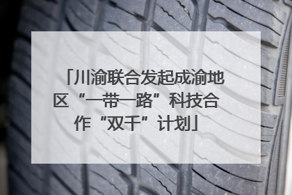 川渝联合发起成渝地区“一带一路”科技合作“双千”计划