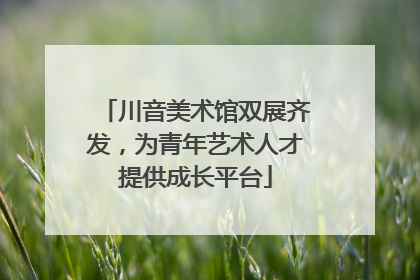 川音美术馆双展齐发，为青年艺术人才提供成长平台