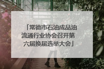 常德市石油成品油流通行业协会召开第六届换届选举大会