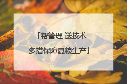 帮管理 送技术 多措保障夏粮生产