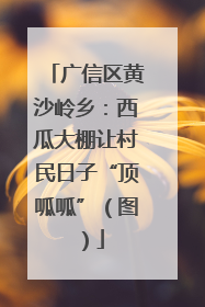 广信区黄沙岭乡：西瓜大棚让村民日子“顶呱呱”（图）