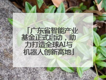 广东省智能产业基金正式启动，助力打造全球AI与机器人创新高地