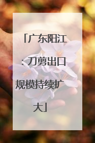 广东阳江：刀剪出口规模持续扩大