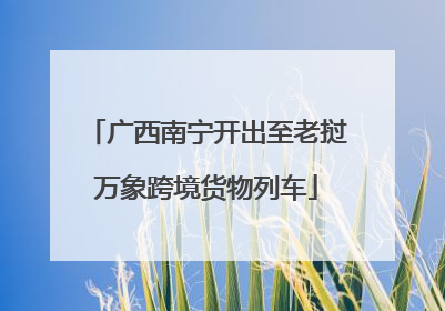广西南宁开出至老挝万象跨境货物列车