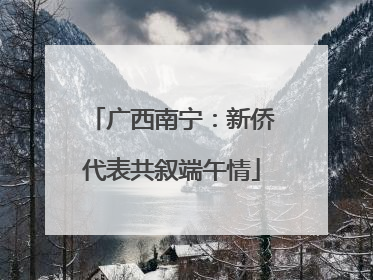 广西南宁：新侨代表共叙端午情