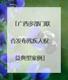 广西多部门联合发布残疾人权益典型案例