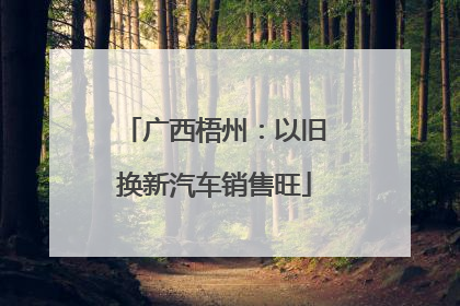 广西梧州：以旧换新汽车销售旺