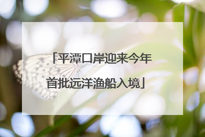 平潭口岸迎来今年首批远洋渔船入境