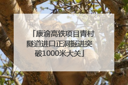 康渝高铁项目青村隧道进口正洞掘进突破1000米大关