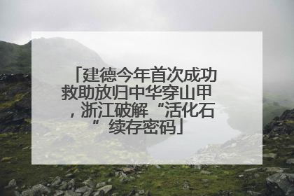 建德今年首次成功救助放归中华穿山甲，浙江破解“活化石”续存密码