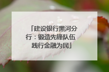 建设银行黑河分行：锻造先锋队伍 践行金融为民