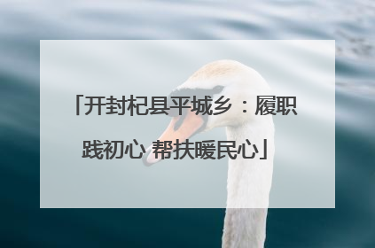 开封杞县平城乡：履职践初心 帮扶暖民心