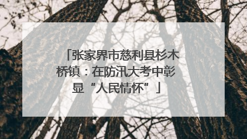 张家界市慈利县杉木桥镇：在防汛大考中彰显“人民情怀”