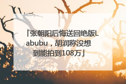 张朝阳后悔送回绝版Labubu，胡润称没想到能拍到108万