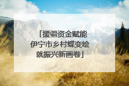 援疆资金赋能 伊宁市乡村蝶变绘就振兴新画卷