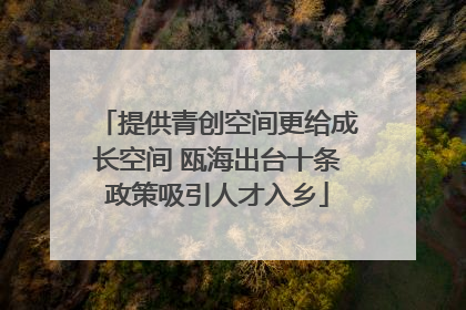 提供青创空间更给成长空间 瓯海出台十条政策吸引人才入乡