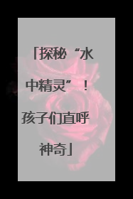 探秘“水中精灵”！孩子们直呼神奇